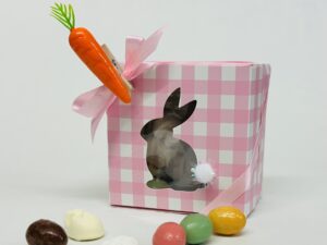 Le Cube Vichy Gourmand de Pâques