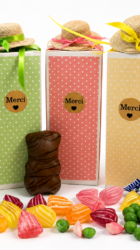 Merci maitresse 2026